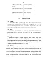 Verslo planas: viešbutis 9 puslapis