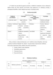 Verslo planas: viešbutis 10 puslapis