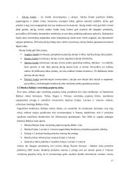 Vertybinių popierių charakteristikos ir vertybinių popierių įtaka ekonomikai 17 puslapis