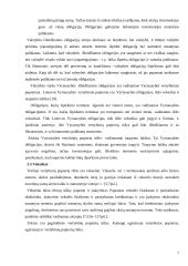 Vertybinių popierių charakteristikos ir vertybinių popierių įtaka ekonomikai 7 puslapis