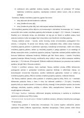 Vertybinių popierių charakteristikos ir vertybinių popierių įtaka ekonomikai 10 puslapis
