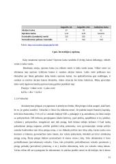 Vertybiniai popieriai. Įmonės veikla ir teikiamos paslaugos: AB FMĮ "Finasta" 13 puslapis