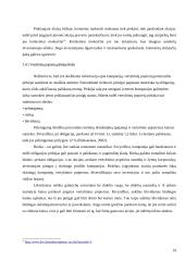 Vertybiniai popieriai. Įmonės veikla ir teikiamos paslaugos: AB FMĮ "Finasta" 19 puslapis