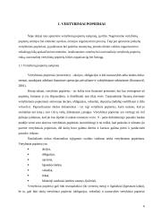 Vertybiniai popieriai. Įmonės veikla ir teikiamos paslaugos: AB FMĮ "Finasta" 6 puslapis