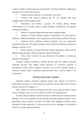 Vertybinių popierių biržos veikla Lietuvoje 13 puslapis