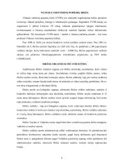 Vertybinių popierių biržos veikla Lietuvoje 6 puslapis