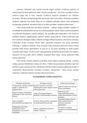 Vertybinių popierių biržos veikla Lietuvoje 9 puslapis