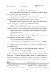 Vertybinių popierių biržos veikla Lietuvoje 10 puslapis