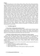 Vertybinių popierių rūšys ir vaidmuo ekonomikoje 3 puslapis