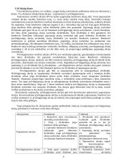 Vertybinių popierių rūšys ir vaidmuo ekonomikoje 9 puslapis