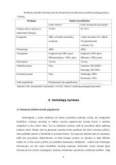 Vestuvių organizavimo įmonės Kaune 6 puslapis