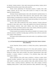 Vidaus audito reglamentavimas Lietuvoje ir kitose Europos Sąjungos (ES) šalyse 18 puslapis