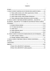Vidaus audito tarnybos įkūrimas ir jos darbo organizavimas įmonėje 2 puslapis