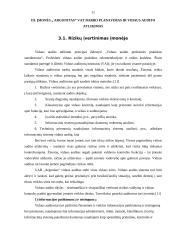 Vidaus audito tarnybos įkūrimas ir jos darbo organizavimas įmonėje 11 puslapis