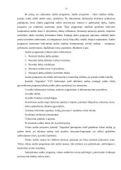 Vidaus audito tarnybos įkūrimas ir jos darbo organizavimas įmonėje 17 puslapis