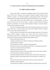 Vidaus audito tarnybos įkūrimas ir jos darbo organizavimas įmonėje 20 puslapis