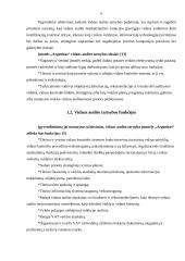 Vidaus audito tarnybos įkūrimas ir jos darbo organizavimas įmonėje 6 puslapis