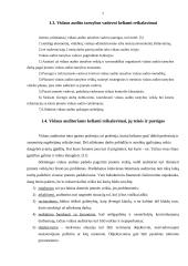 Vidaus audito tarnybos įkūrimas ir jos darbo organizavimas įmonėje 7 puslapis