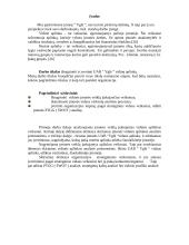 Vidinė įmonės aplinka 1 puslapis