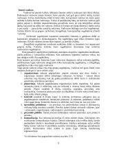 Vidinė įmonės aplinka 11 puslapis