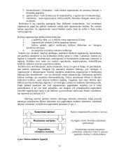Vidinė įmonės aplinka 13 puslapis