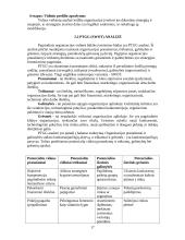 Vidinė įmonės aplinka 17 puslapis