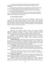 Vidinė įmonės aplinka 19 puslapis