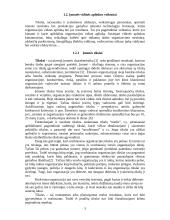 Vidinė įmonės aplinka 3 puslapis