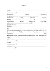 Viešosios tvarkos pažeidimas 2 puslapis