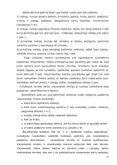 Viešosios tvarkos pažeidimas 13 puslapis