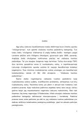 Viešosios tvarkos pažeidimas 3 puslapis
