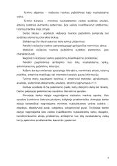 Viešosios tvarkos pažeidimas 4 puslapis