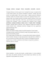 Vyno gamybos marketingo sprendimai: UAB "Mineraliniai vandenys" 15 puslapis