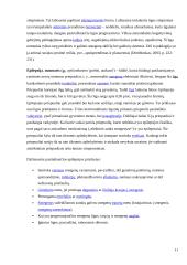 Visuomenės nuostatos psichikos ligomis sergančių asmenų atžvilgiu 12 puslapis