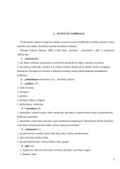 Visuomenės nuostatos psichikos ligomis sergančių asmenų atžvilgiu 4 puslapis