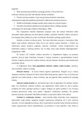 Visuotinės kokybės vadybos plėtra Lietuvoje 11 puslapis