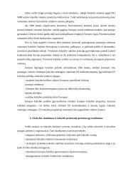 Visuotinės kokybės vadybos plėtra Lietuvoje 16 puslapis