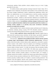 Visuotinės kokybės vadybos plėtra Lietuvoje 19 puslapis