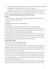 Žaidimai vaikų gyvenime 7 puslapis