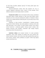 Žaidimų įtaka vaiko vaizduotės lavinimui 17 puslapis