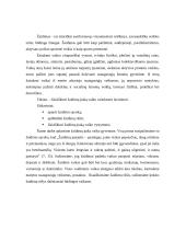 Žaidimų įtaka vaiko vaizduotės lavinimui 3 puslapis