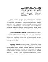 Žaidimų įtaka vaiko vaizduotės lavinimui 9 puslapis