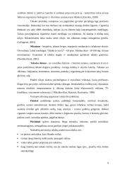 Žalingų įpročių prevencijos įgyvendinimas pradinėje mokykloje 9 puslapis