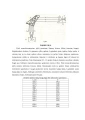 4 fizikos laboratoriniai darbai - su skaičiavimais 16 puslapis
