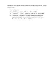 4 fizikos laboratoriniai darbai - su skaičiavimais 20 puslapis