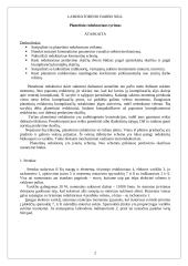 Planetinio reduktoriaus tyrimo ataskaita 2 puslapis