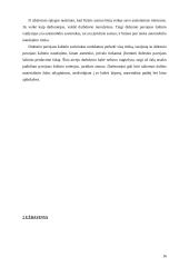 Specialios (kvalifikuojančios) materialinės atsakomybės sąlygos 16 puslapis