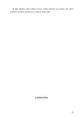 Specialios (kvalifikuojančios) materialinės atsakomybės sąlygos 18 puslapis