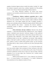 Žemės ūkio dirbimo mašinos 16 puslapis