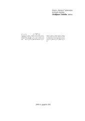 Beržas tautosakoje 6 puslapis